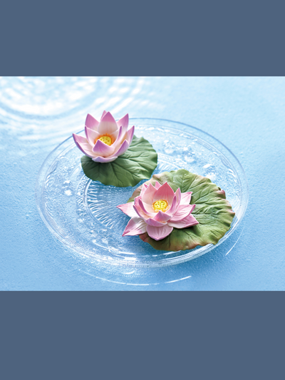 Water Resistant Air Dry Clay White Tokenai-kun (Pre-order)