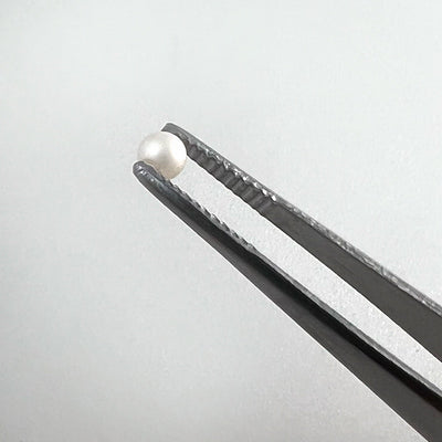 Stainless Tweezer (Pre-order)