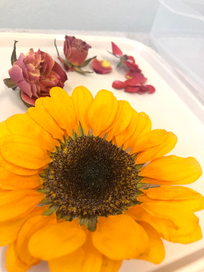 Modern Flower Preservation Workshop - 2 Days Masterclass