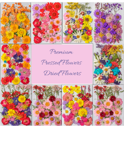 Pressed Flower Set - Deluxe