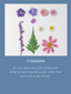 Pressed Flower Set