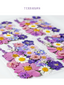 Pressed Flower Set