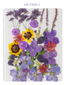 Pressed Flower Set