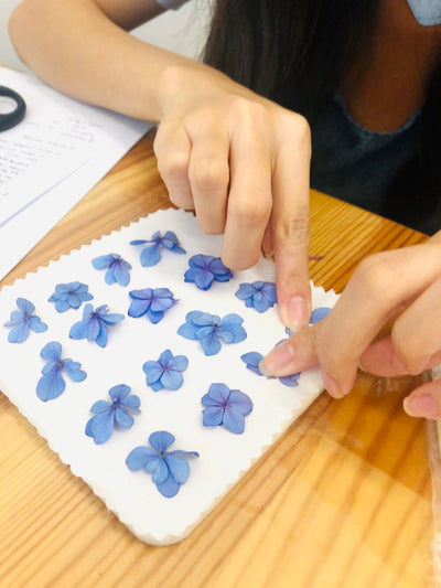 Microwave Flower Press - Preserve flowers in 30 seconds