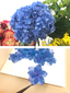 Microwave Flower Press - Preserve flowers in 30 seconds