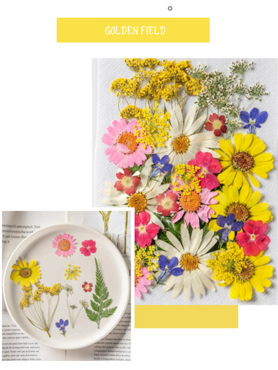 Pressed Flower Set - Deluxe