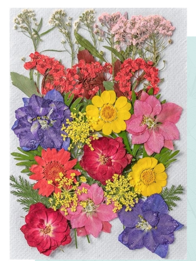 Pressed Flower Set