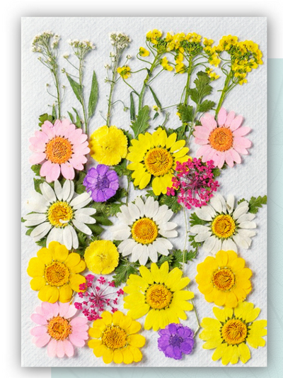 Pressed Flower Set
