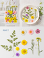 Pressed Flower Set