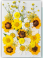 Pressed Flower Set